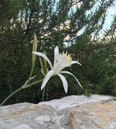 Ca' di Bianca