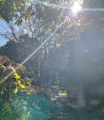 Cabana Austríaca no Vale Encantado