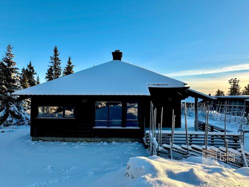 Cabin at Sjusjøen Birkebeiner trail ski in out, 8 beds, 2 bathrooms & Wifi
