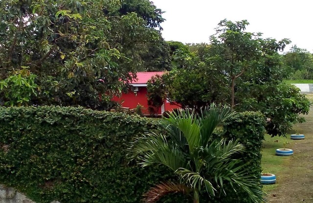 Cabinas El Tropico