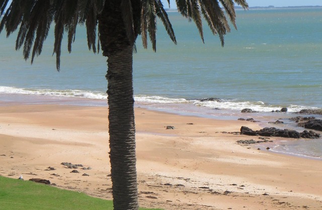 Cable Bay Stays – Golden Sand and Driftwood Beachfront Accommodation