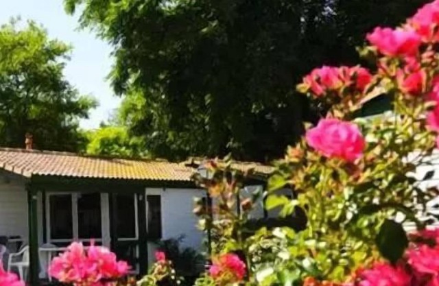 Camping Les Gros Joncs ***** - Chalet for 4 People