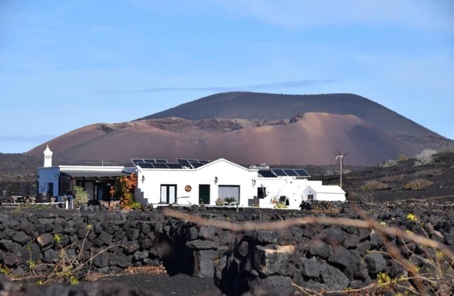 Canaryislandshost I Viñedos
