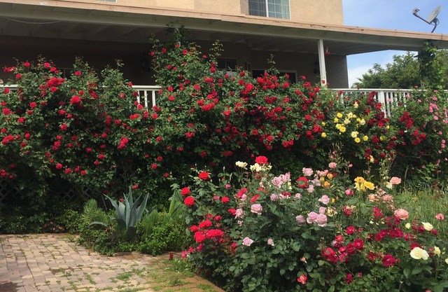 Canyon Lake CA gated City CozyTwo bedroom ,two bath Home with beautiful garden
