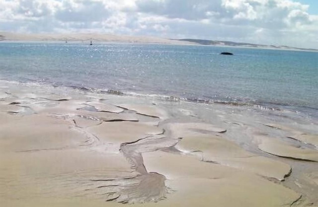 CAP FERRET the COTTAGE OCEAN.