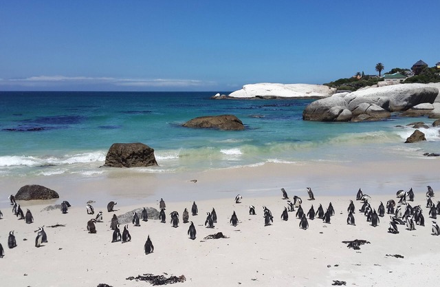 Cape Town Luxury Self Catering Home in a Working Wine Farm - Family Friendly