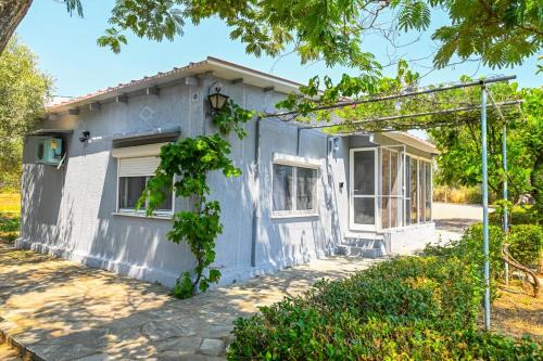 Carpe Diem Family House