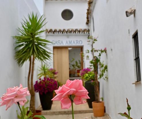CASA AMARO
