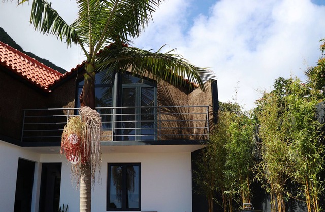 Casa da Palmeira, with swimming pool and WIFI - As close to the mountains as the sea.
