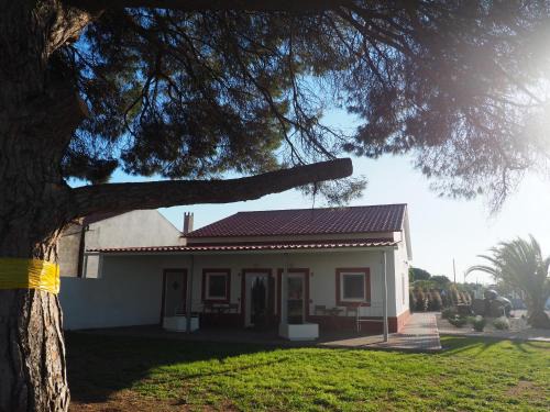 Casa das Pipas Palmela #6
