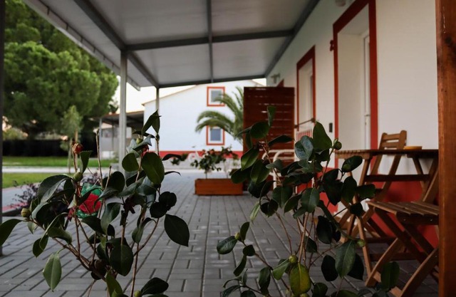 Casa das Pipas Palmela #2