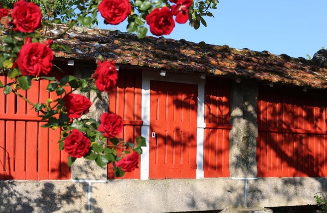 Casa de la Tita