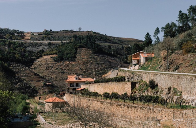 Casa do Moinho by Quinta de Recião