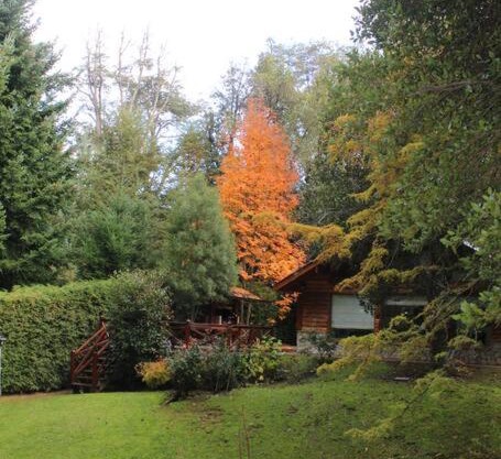 Casa en el bosque de Puerto Manzano