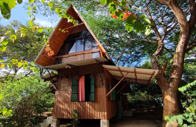 Casa Frijolar · Nature & Surf · Walk to Beach & Town · Shared Pool + Skate Bowl