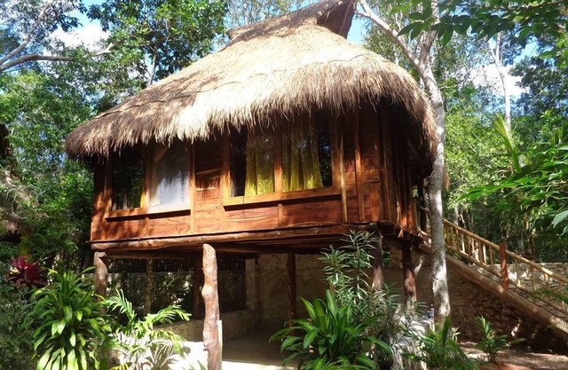 Casa Mango