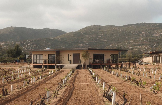 Casa Maul/Valle de Guadalupe/Incredible Home in Private Vineyard