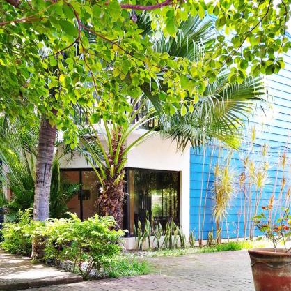 Casa Milo