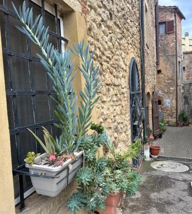 Casa Nelly - accommodation in the heart of Bibbona!