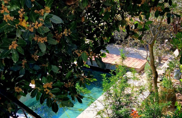 Casa Olmu and its garden in the heart of Conca D'oru, charming apartment