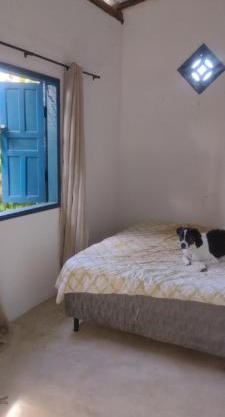 Casa Rústica Pet