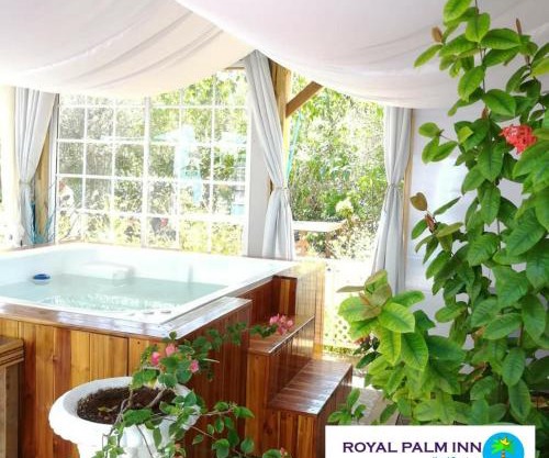 Casa Royal Palm Inn