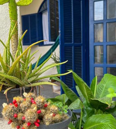 Casa Surya Paraty