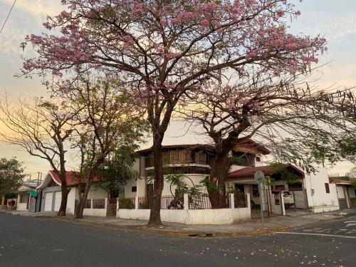Casa Todah B&B