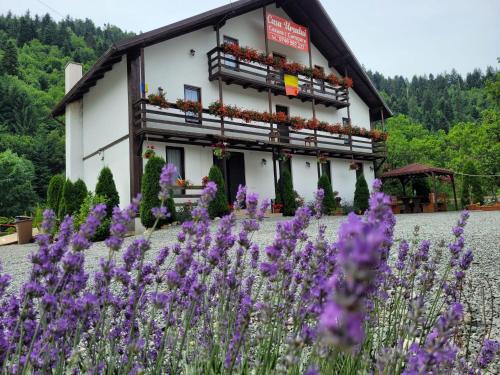 Casa Ursului