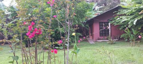 Casita Colibri Playa Rincon Bahia Drake