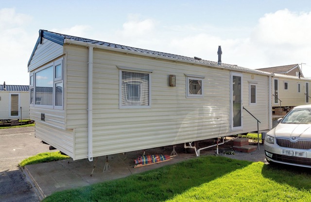 Castaways Oyster 6 (Pet)
