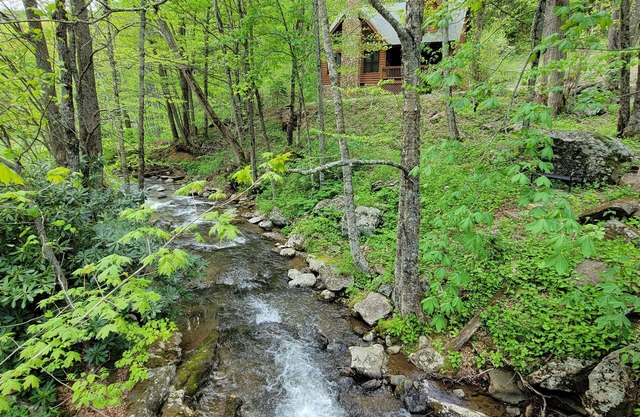 Catch & Release - Trout Stream, Wi-Fi, Pool Table