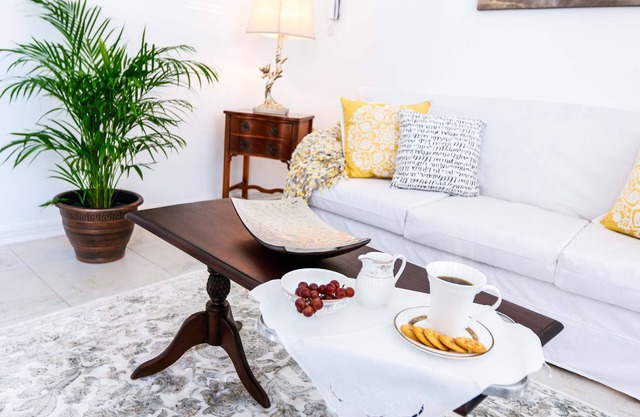 Cattleya's New Kingston Guest Apartment