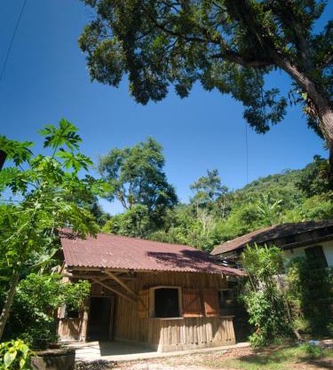 cedro do ronca
