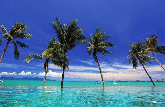 Celes Samui