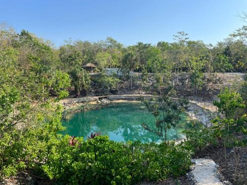 Cenote escondido