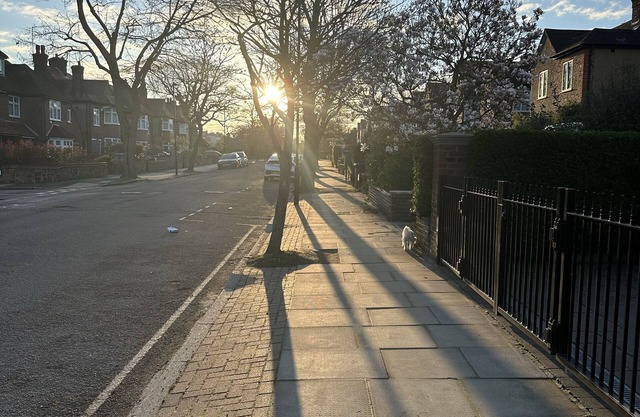 Central London 5 bedroom house for rent