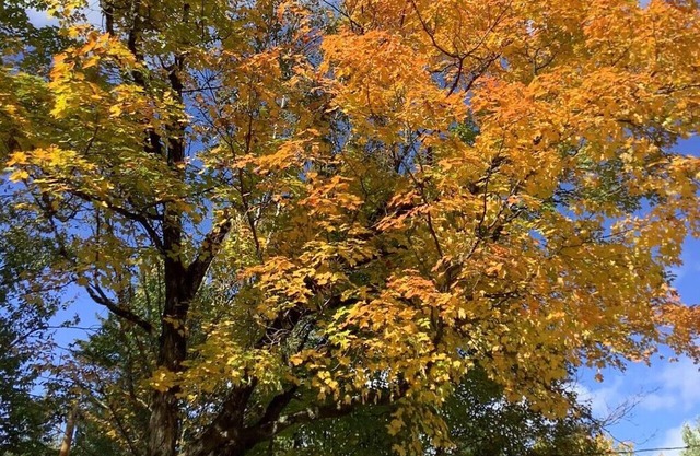 Chalet Valcartier with spa on the side of the river.