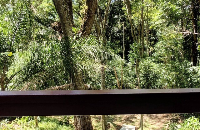 Chalé Nature na Lagoa da Conceição RM9376