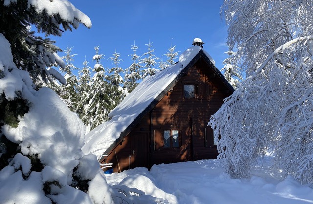 CHALET 70 m2 - 6 PERS - near MONT DORE/SUPER BESSE - 1000 m2 enclosed - WI-FI