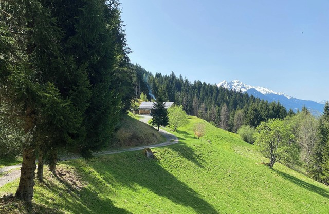 CHALET ancien d'ALPAGE