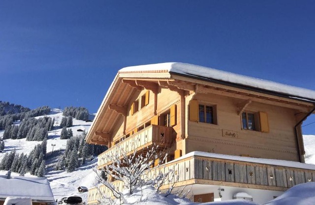 Chalet Butterfly