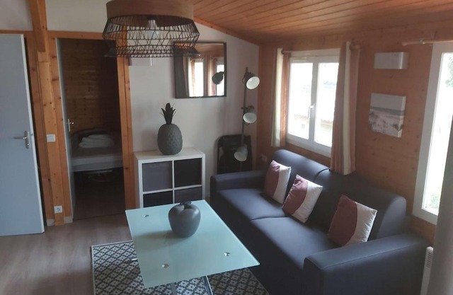 Chalet climatisé avec piscine chauffée et parking dans une pinède calme - FR-1-607-64