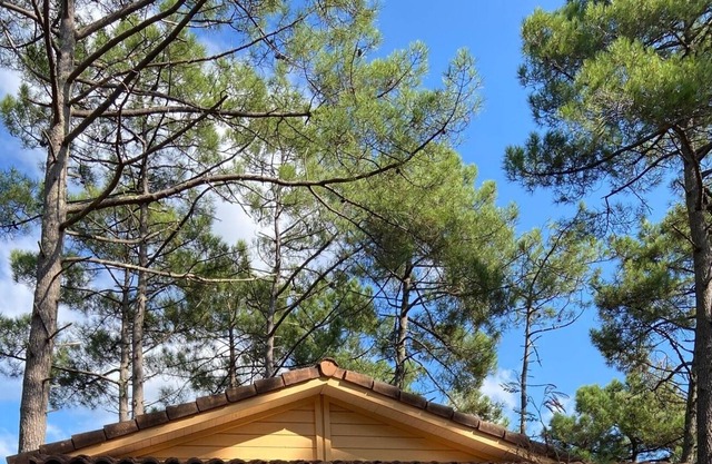 Chalet Coucher de soleil La Jenny with Shared Pool & Wi-Fi