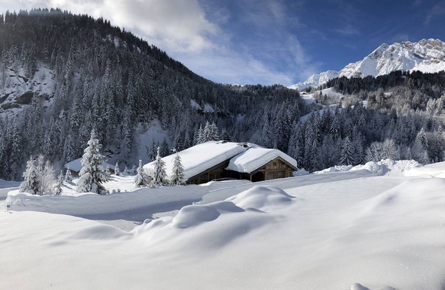 Chalet de l'Armanaz for groups of up to 32 people