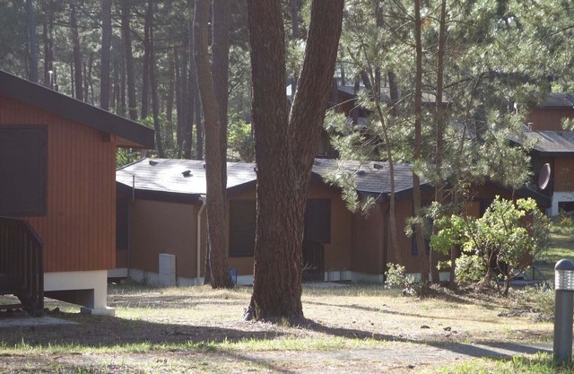 Chalet en Bois Dans la Foret de Pins Entre lac et Océan - Calme -
