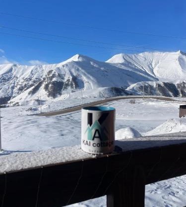 Chalet Gudauri