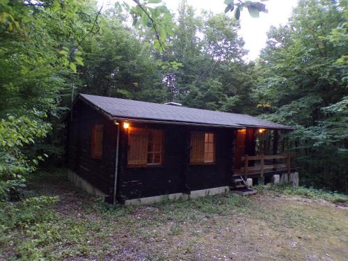 Chalet nature & forêt privée