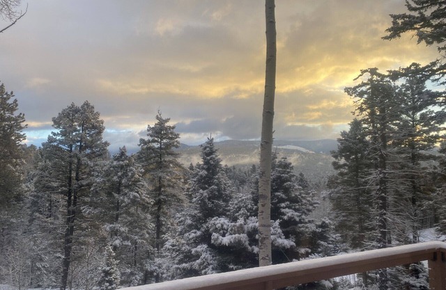 Chalet Nestled on 2 Mountainside acres! 4 Bedrooms/3 baths & Pet Friendly!