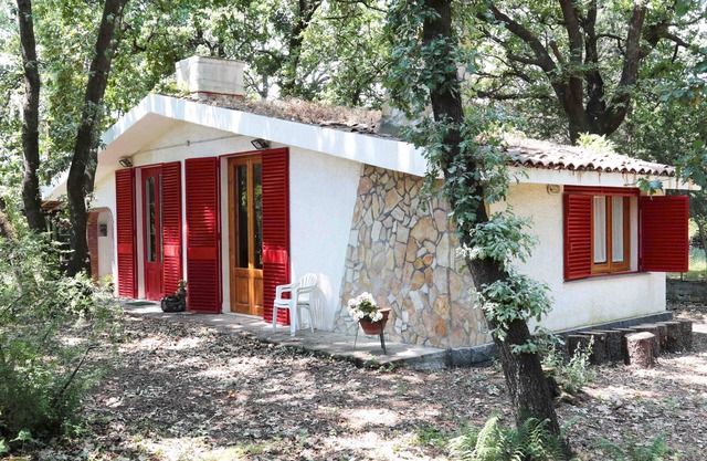 Chalet Villa Fini immersed in the oak forest.